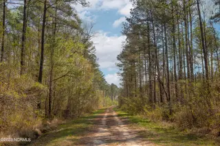0 Nc-903, Stokes, NC 27884 – photo 24: Stokes Tract 14