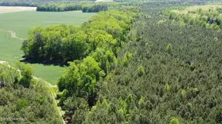 Off Speights Chapel Road, Whitakers, NC 27891 – photo 12: DJI_0581