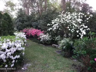 2412 Gillette Drive, Wilmington, NC 28403 – photo 7: Gardens