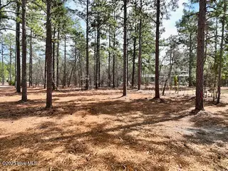 103 Chesterfield Drive, Pinehurst, NC 28374 – photo 19: DJI_0214