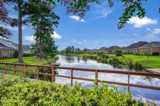 1226 Atrium Way, Leland, NC 28451 — 3-bedroom home in Waterford of the Carolinas, Leland, NC, photo 3 of 61: Pond View