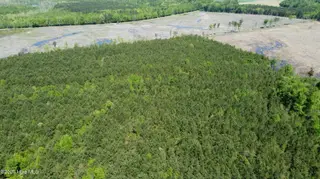 Off Speights Chapel Road, Whitakers, NC 27891 – photo 21: DJI_0590