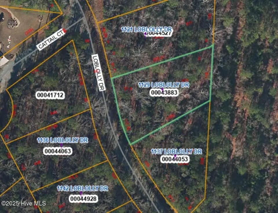 1129 Loblolly Drive, Vass, NC 28394 – photo 1 of 3: 1129 Loblolly lot photo
