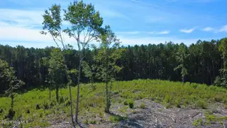 Tbd Dunhams Creek Lane, Carthage, NC 28327 — lot, Carthage, NC, photo 6 of 22
