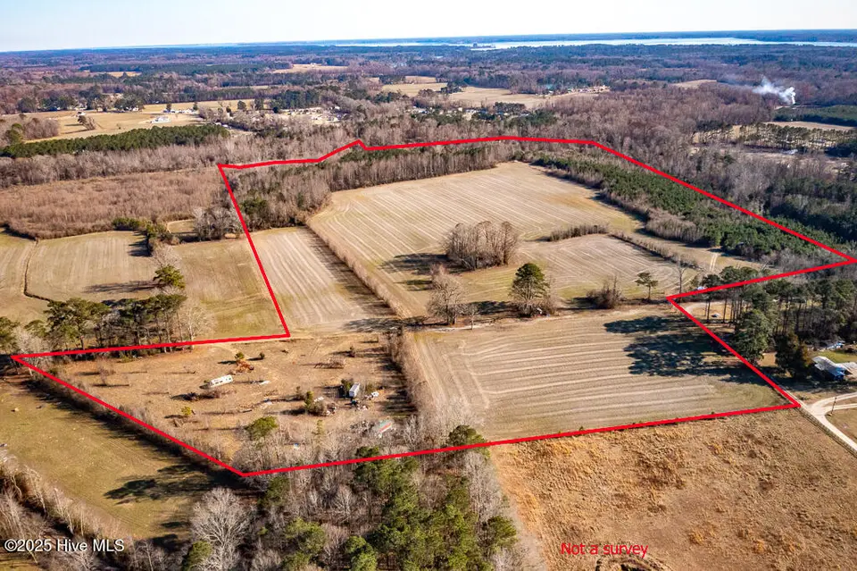 203 Lovick Lane, Washington, NC 27889 – photo 1 of 7: Pic 2