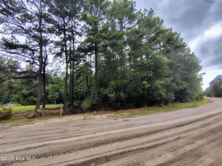 Lot 45 45 Near 519 Deer Lane, Tabor City, NC 28463 – photo 2: IMG_20260830_144447528_HDR_AE