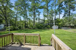 309 Lakewood Drive, Jacksonville, NC 28546 – photo 24: AI green backyard