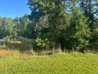 1616 144 Caracara Drive, New Bern, NC 28560 – photo 22: IMG_0845