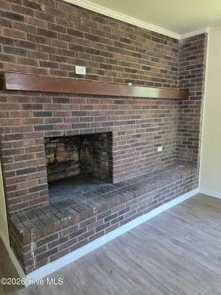 113 Cedar Street, Rocky Mount, NC 27803 – photo 5: fireplace