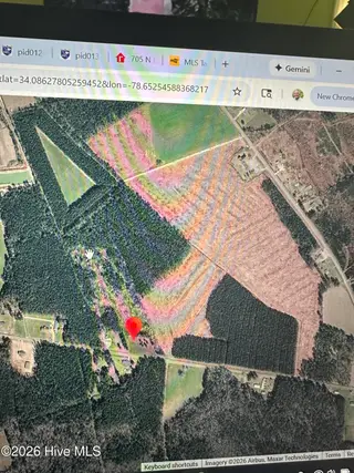 Near 594 Big Cypress Road, Nakina, NC 28455 – photo 10: IMG_3927