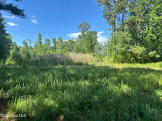 Near 594 Big Cypress Road, Nakina, NC 28455 – photo 4: IMG_3866