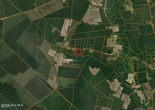 0 Wall'S Mill Road, Aurora, NC 27806 – photo 15: Screenshot 2026-08-19 at 1.51.48PM