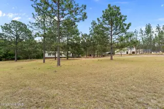 2391 Murdocksville Road, West End, NC 27376 – photo 15: 14-web-or-mls-DSC04483