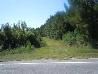 Near 10547 Andrew Jackson Highway SW, Fair Bluff, NC 28439 – photo 3: DSCN9930