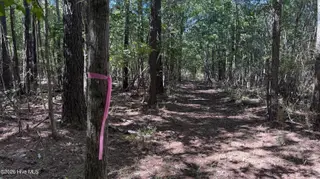 6033 Homestead Road, Elm City, NC 27822 — lot, Elm City, NC, photo 22 of 42: IMG_9320