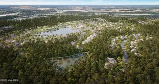 1067 Fryar Avenue 91, Leland, NC 28451 – photo 9: Aerial of Terrapin