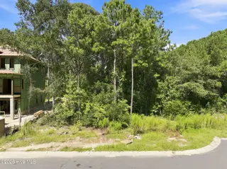 661 Vale Drive, Wilmington, NC 28411 – photo 9: 14-web-or-mls-DJI_20260909115312_0570_D