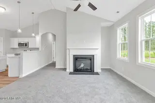 4066 Hunters Trail, Jacksonville, NC 28546 – photo 16: Similar-Fireplace