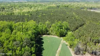 Off Speights Chapel Road, Whitakers, NC 27891 – photo 3: DJI_0571