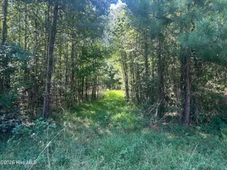 12045 Andrew Jackson Highway SW, Fair Bluff, NC 28439 – photo 5: IMG_9745