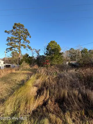 0 Sr 1730 Old Pamlico Beach Road West, Belhaven, NC 27810 – photo 9: IMG_9082