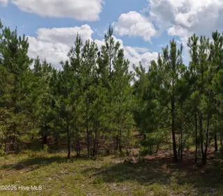 01581 Doubs Chapel Road, West End, NC 27376 – photo 5: off grid 3
