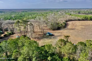 0 Near 4635 Hallsboro Road N, Clarkton, NC 28433 – photo 7: CPS 7