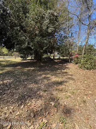 503 Casey Mill Road, Dudley, NC 28333 – photo 5: IMG_5136