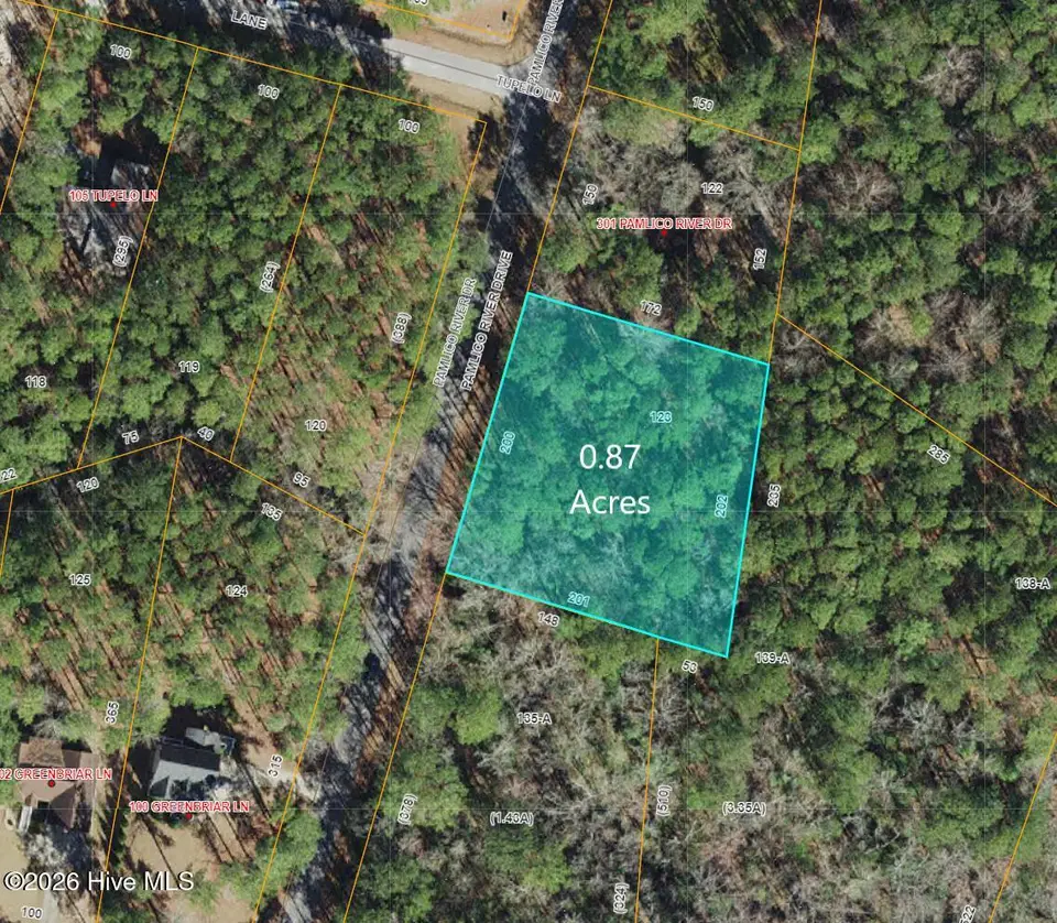 335 Pamlico River Drive, Washington, NC 27889 – photo 1 of 19: 411 Pamlico River Dr Lot 123