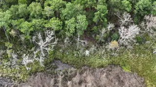 239 98 Garbacon Drive, Beaufort, NC 28516 – photo 15: DJI_20250805092732_0330_D