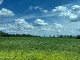 0 Near 685 Rossie Ober Road, Whiteville, NC 28472 – photo 5: IMG_0399