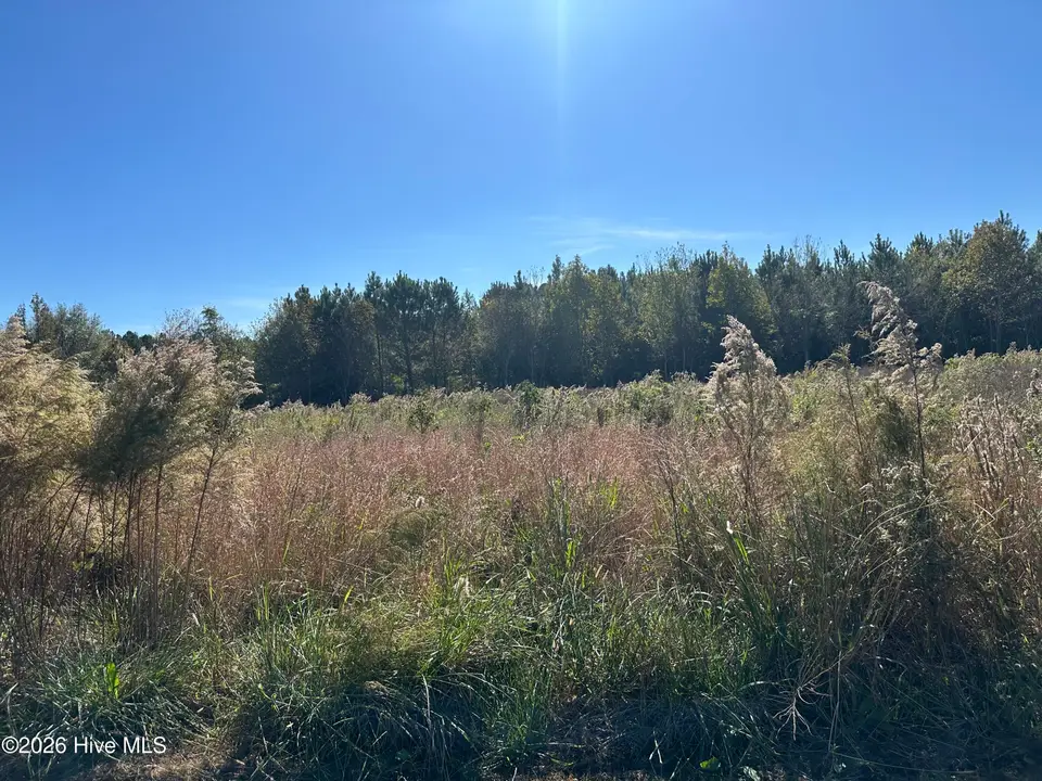 Near 18 Taylor Lane, Clarendon, NC 28432 – photo 1 of 2: land