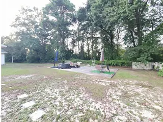 203 Brentwood Circle, Dudley, NC 28333 – photo 16: Back Yard