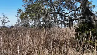 107 135 Pin Oak Court, Beaufort, NC 28516 – photo 10: DJI_20240315132946_0114_D Large