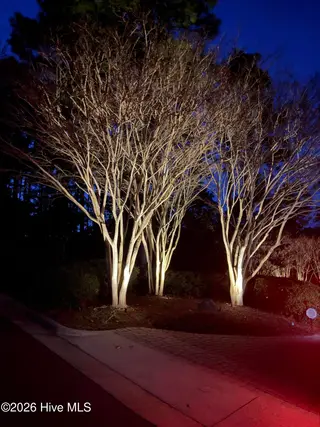 28 Chestertown Drive, Pinehurst, NC 28374 – photo 5: IMG_0074