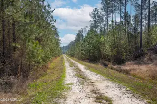 0 Nc-903, Stokes, NC 27884 – photo 4: Stokes Tract 7