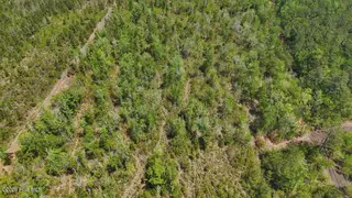 0 7 Guinea Mill Road, Ernul, NC 28527 – photo 20: 20