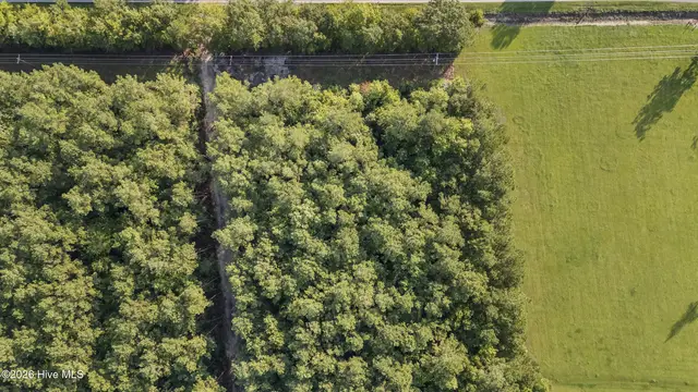 0 Us Hwy 117 N Remnant, Willard, NC 28478