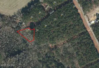 111 Plum Court, Burgaw, NC 28425 – photo 2: lot 7