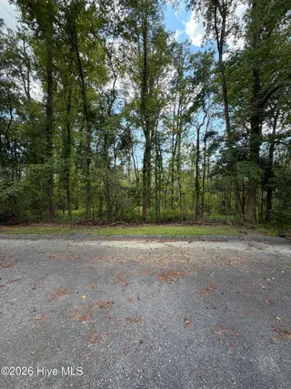 25852 Us-264 Highway E, Pantego, NC 27860 – photo 3: IMG_9187