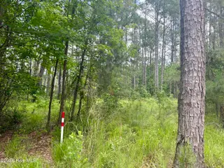 558 Sandy Point Drive, Beaufort, NC 28516 – photo 8: property line