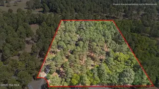 155 Harmony Lane, Southern Pines, NC 28387 – photo 10: 67-web-or-mls-Property line_Red