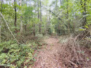 Lot 45 45 Near 519 Deer Lane, Tabor City, NC 28463 – photo 10: IMG_20260830_142249641_HDR_AE