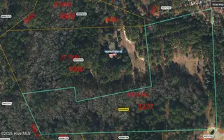 Lot 8 Flowers Road, Jackson Springs, NC 27281 – photo 1: 10.51 Acres