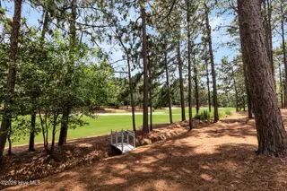 135 Devonshire Avenue W, West End, NC 27376 – photo 2: back golf view2