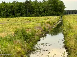 0 Sr 1918 Road, Aurora, NC 27806 – photo 6: IMG_4137
