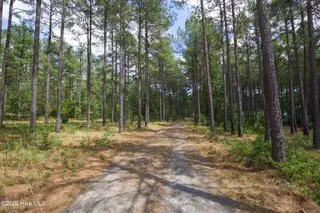 220 44B Justin Way, Foxfire Village, NC 27281 – photo 7: 220 Justin Way 44B-46