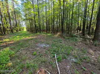 Carolina Shores, Bath – photo 4: Screenshot 2026-09-14 110443