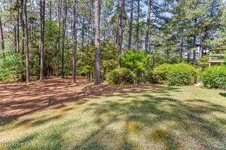 325 Lupin Place, Southern Pines, NC 28387 – photo 22: Backyard