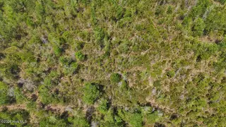 0 6 Guinea Mill Road, Ernul, NC 28527 – photo 15: 15